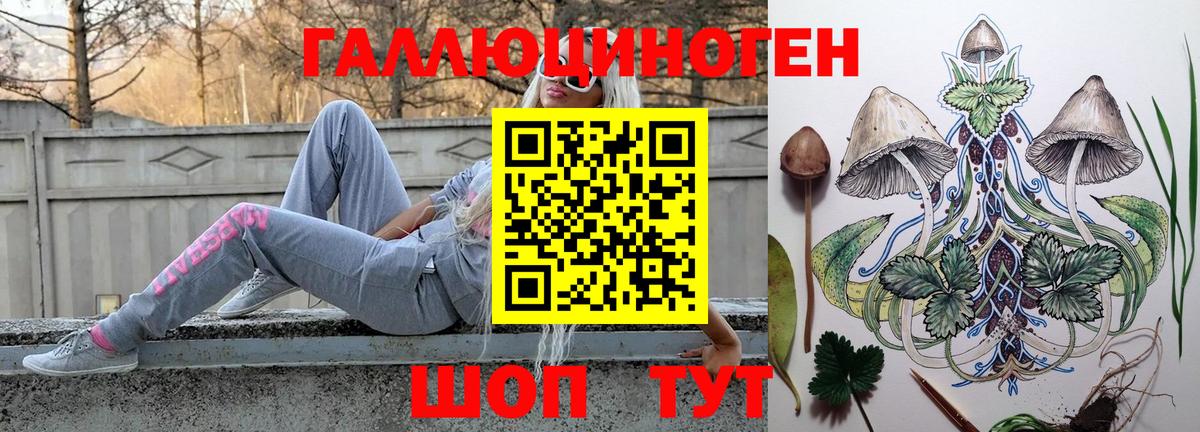 Кизилюрт  Галлюциногенные грибы мицелий  Вход с VPN 
